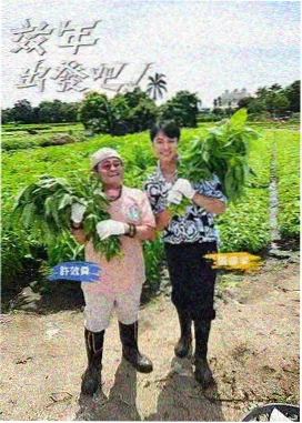 象群饮水队列象群图片